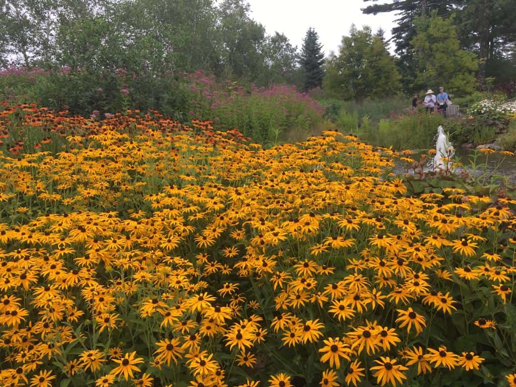 jardin botanique Maine