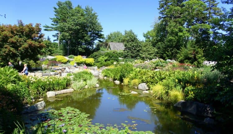 coastal Maine botanical garden