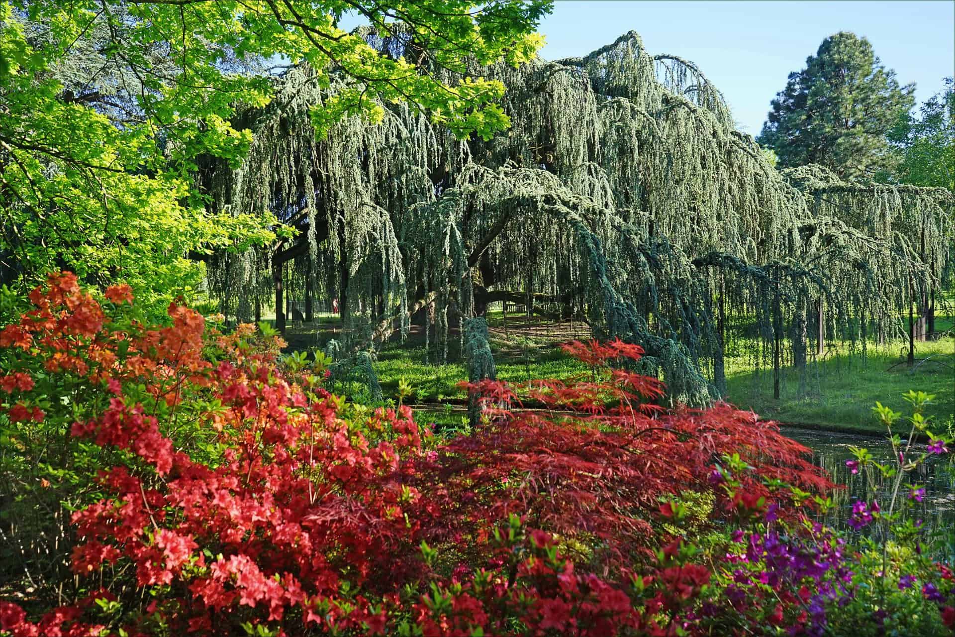 arboretum vallée aux loups