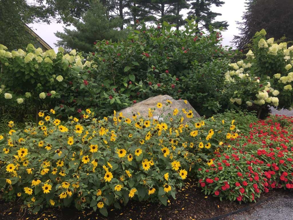 jardin botanique Maine